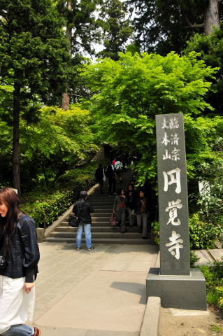 _DSC0316_001.jpg