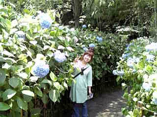 Image227.jpg