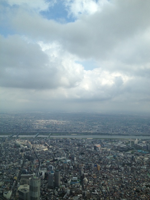 IMG_4569.jpg