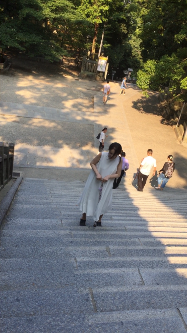 IMG_3596.PNG