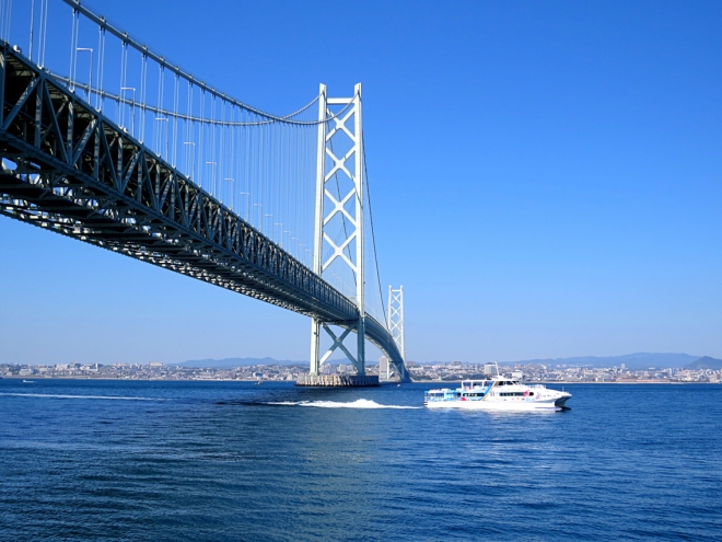 d958378b.jpg