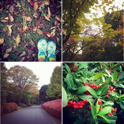 北の丸公園,紅葉