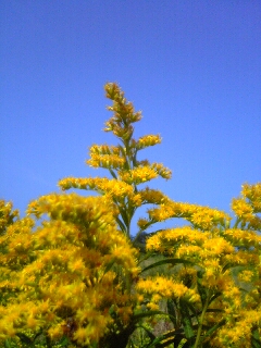 20050821_8639.JPG