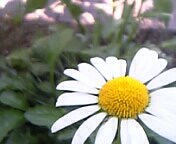 20050825_11774.JPG