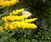 20050830_15468.JPG