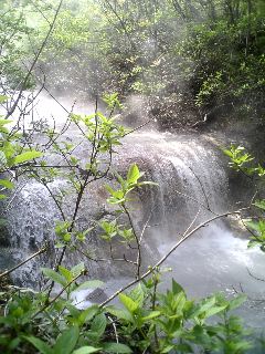20070602_372695.JPG