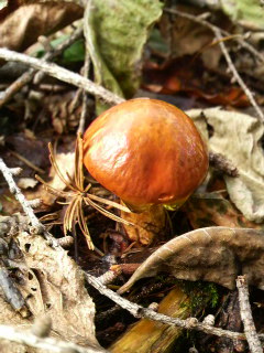 2008100217120000.jpg