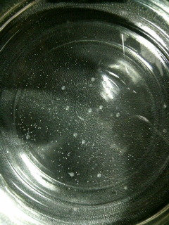 2008123019130000.jpg