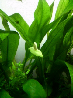 2009031220340000.jpg