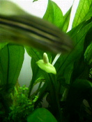 2009031220450000.jpg