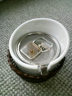 2009033012410000.jpg