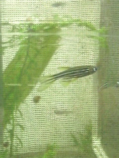2009040320510000.jpg