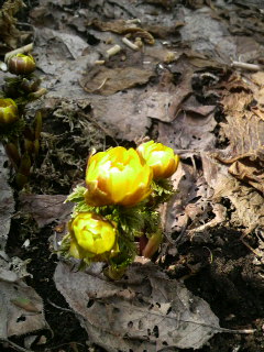 2009041007110000.jpg