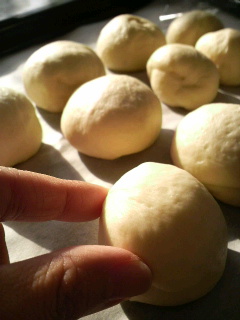 2009123023110000.jpg