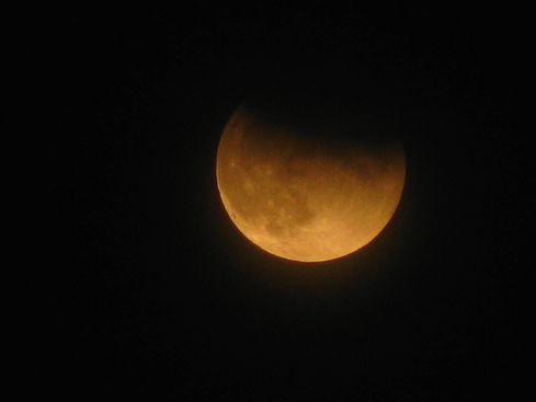 IMG_2210.JPG