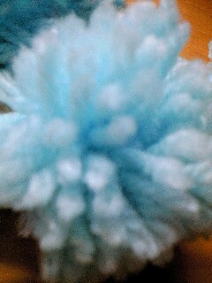 080509_2303~0001.jpg