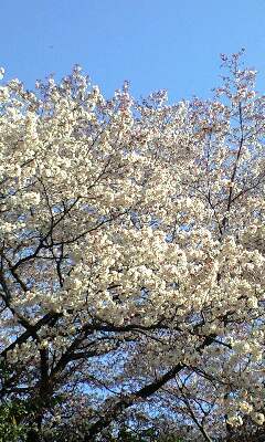 090330_1624~0001.jpg