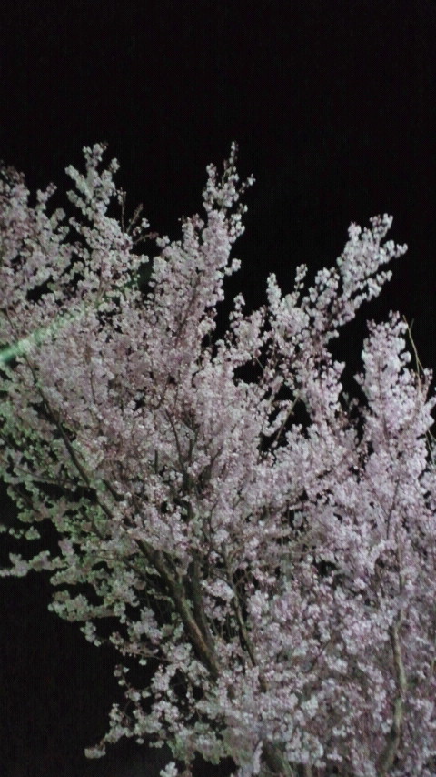 2011040323530000.jpg