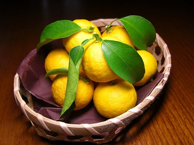 今日は「冬至」 柚子湯で温まりますか・・・