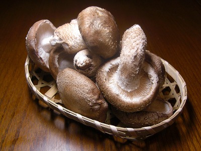 見事な椎茸です