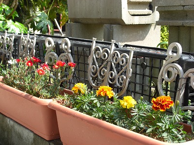花を植えました