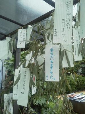 たなばた