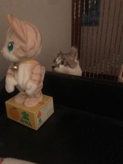 image1.jpeg