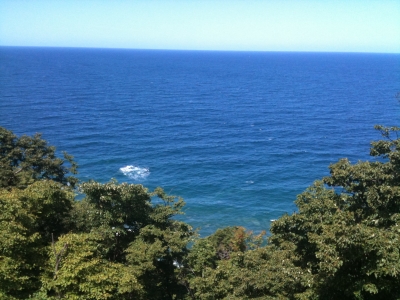 海