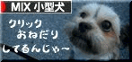 にほんブログ村 犬ブログへ