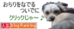 人気ブログランキングへ