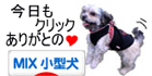 にほんブログ村 犬ブログへ