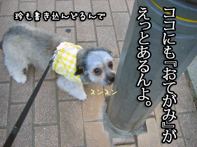 ここにもお手紙