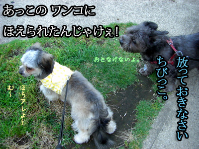 言いつけるくるみ