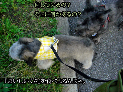 何してるの