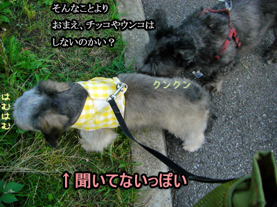 ちっこやうんこは