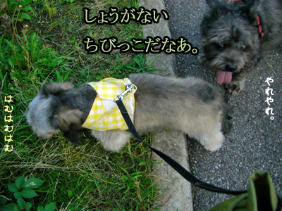 やれやれ