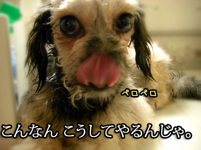 なめてやるんじゃ