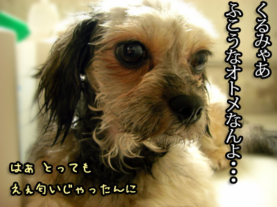 せっかくのフレグランス