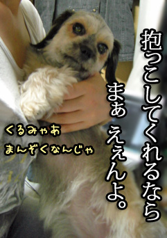 だっこで手を打とう