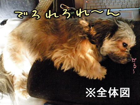 全体像