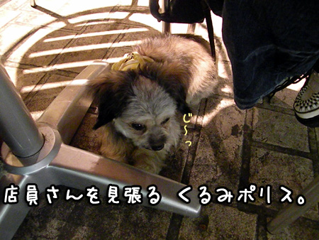 働く店員さんを見張るポリス