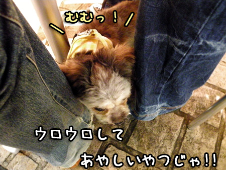 やはり店員さんに