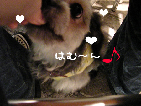 はむ〜ん
