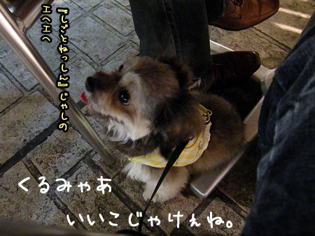 いいこじゃけぇね