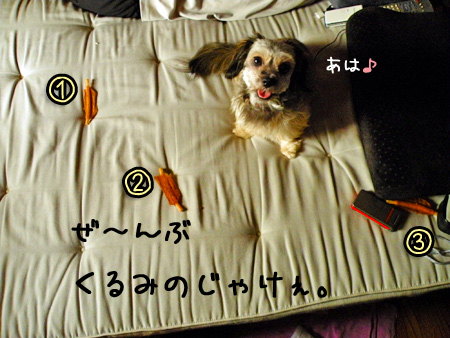 おたから三づくし