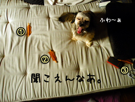 話をきけ