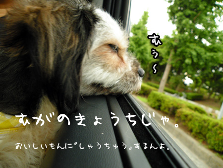 おいしいものに集中