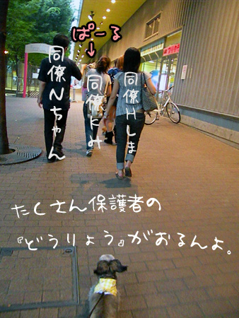 わらわら組