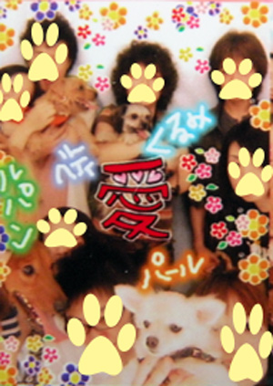 顔がうまく隠れてない