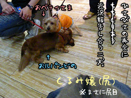ちちくりあう二人